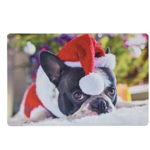 Vianočná rohožka Psík Vianočná rohožka Psík