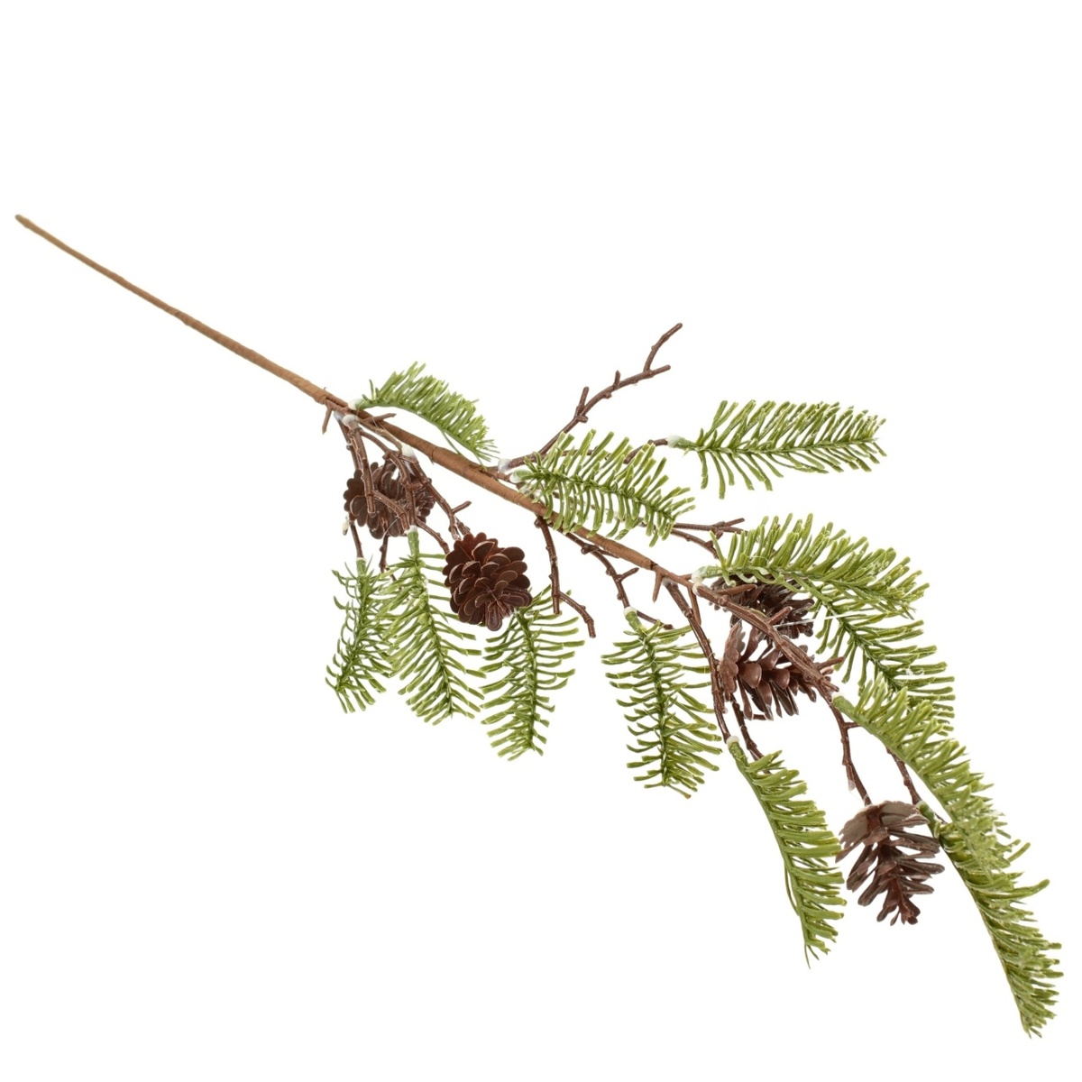 Zimná vetva s inovatkou a šiškami