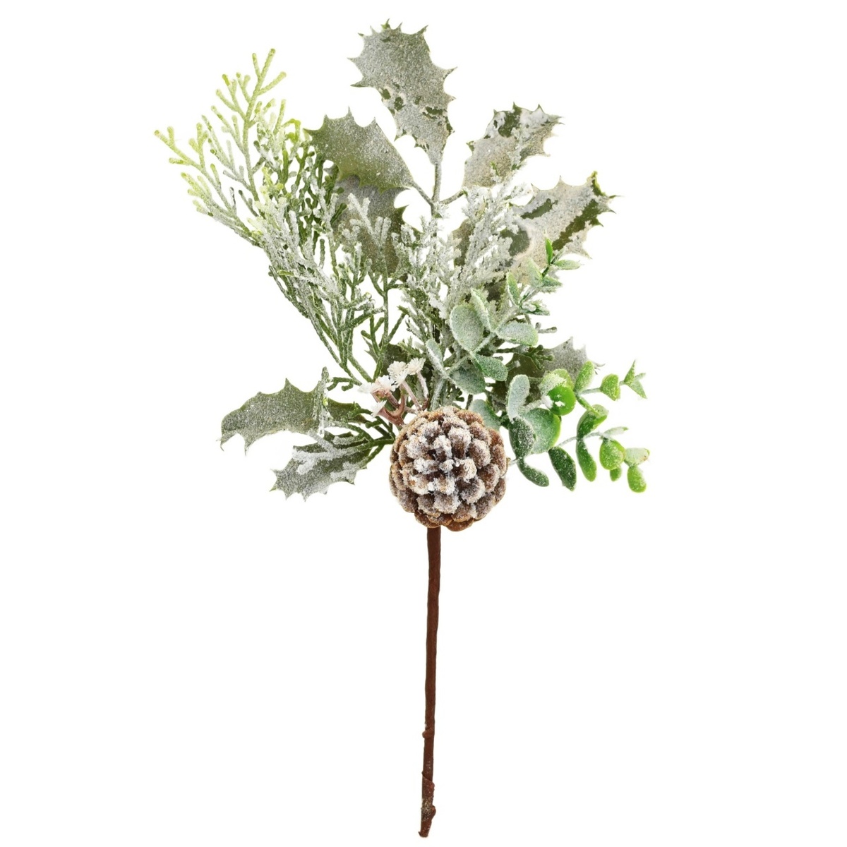 Zimná vetva s inovatkou a šiškou