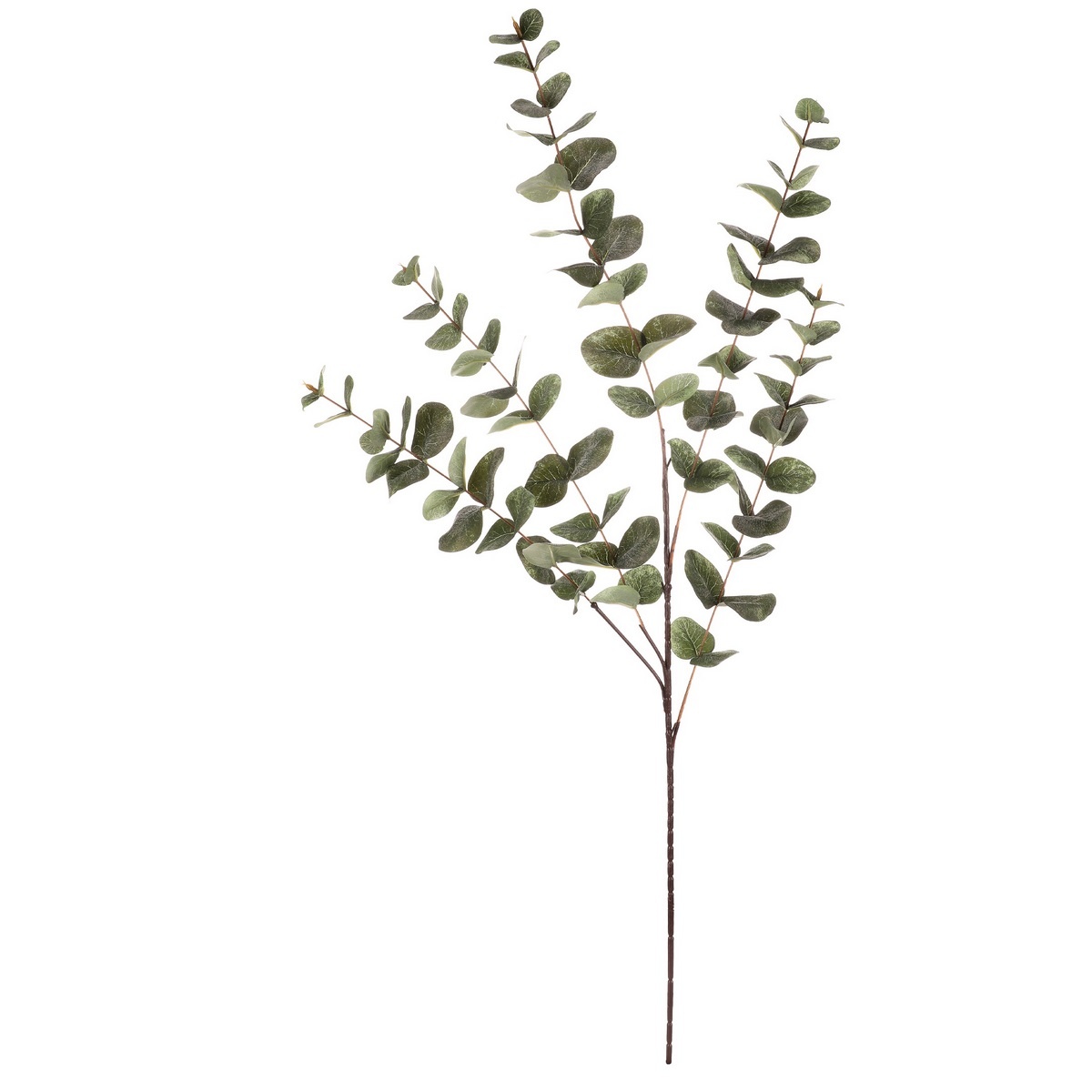 Eukalyptus - umelá vetva