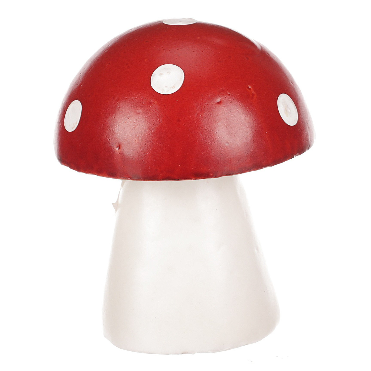 Huba Muchotrávka malá