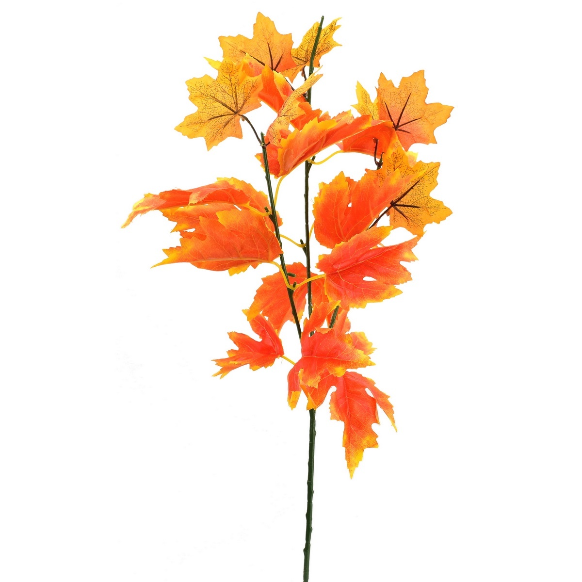 Jesenná vetvička Maple