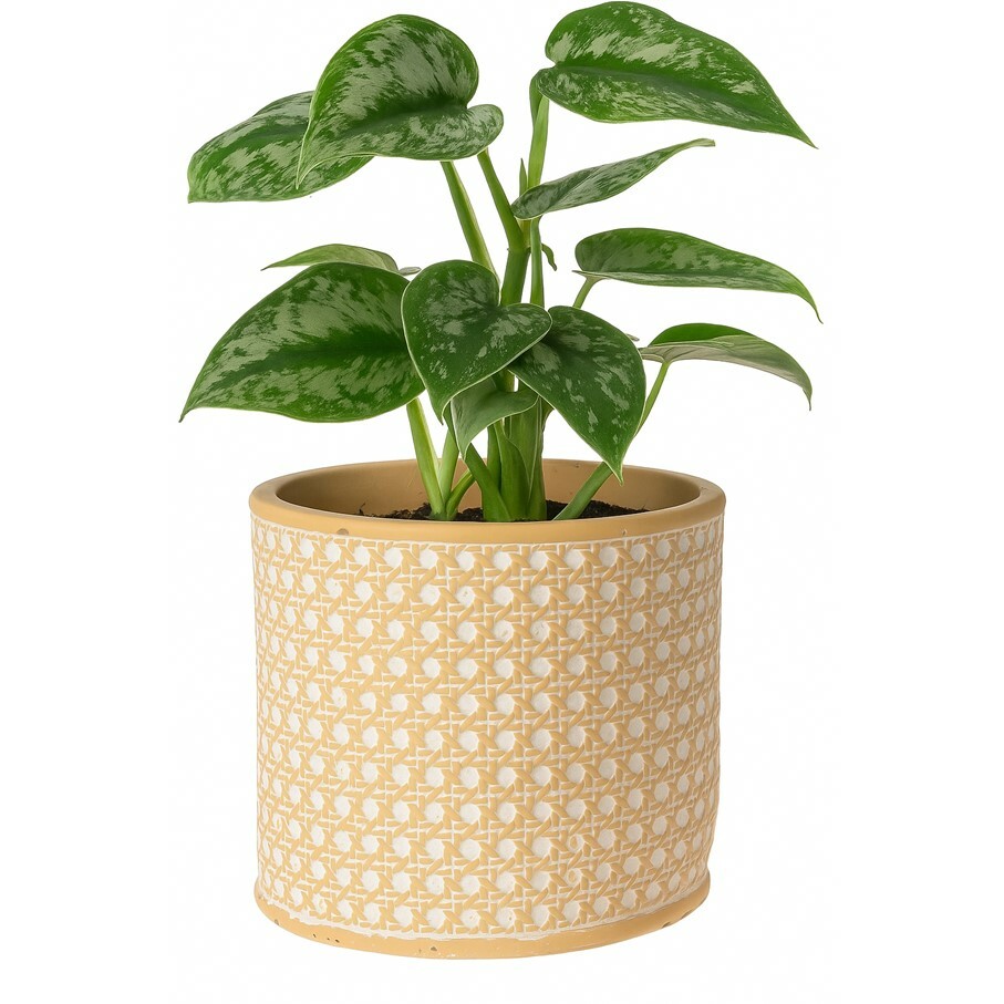 Obal na kvetináč Landon