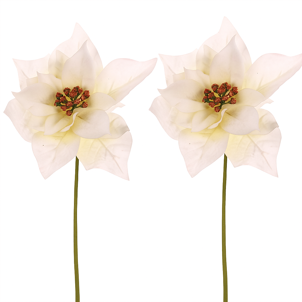 Set vianočná ruža kvet na stonke