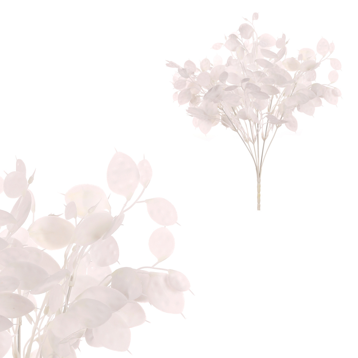 Súprava Trs s peniazkovými lístkami Súprava Trs s peniazkovými lístkami