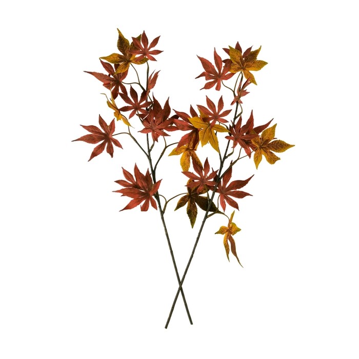 Súprava jesenná vetva Javor