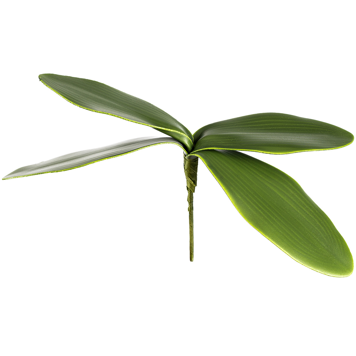 Umelý List orchidey Umelý List orchidey